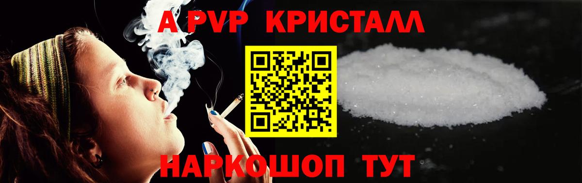Альфа ПВП СК Мончегорск